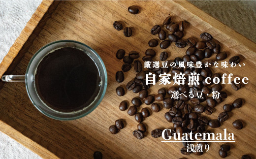 シングルコーヒー豆(グアテマラ浅煎り)90g×3袋北海道当麻町6000お茶・飲料コーヒー・紅茶