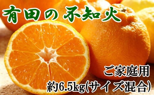 【濃厚】有田の不知火 約6.5kg ご家庭用向け(サイス混合)※2026年2月中旬〜2026年3月中旬頃発送予定 / みかん 有田みかん 柑橘 不知火 和歌山 ミカン オレンジ【tec864A】和歌山県すさみ町15000