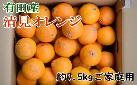 【産直】有田産清見オレンジ 約7.5kg(訳あり家庭用サイズおまかせまたは混合)【tec867A】和歌山県すさみ町15000果物・フルーツみかん・柑橘類