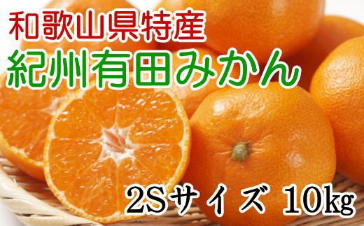 【濃厚・秀品】和歌山有田みかん約10kg(2Sサイズ)★2025年11月中旬〜2026年1月中旬頃より順次発送【tec832A】和歌山県すさみ町18000果物・フルーツみかん・柑橘類
