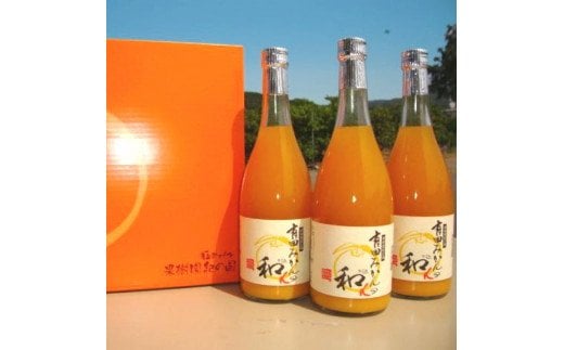 有田みかんの和α(なごみアルファ)720ml×3本【kjk110】和歌山県すさみ町13000お茶・飲料果汁・野菜飲料