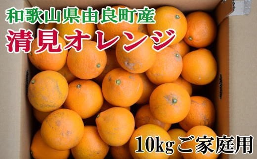 【訳あり・ご家庭用】和歌山由良町産の濃厚清見オレンジ約10kg ★2026年2月中旬〜2026年2月下旬頃順次発送予定 / オレンジ 柑橘 フルーツ 果物 和歌山 みかん【tec877A】和歌山県すさみ町16000果