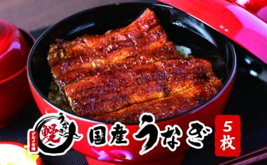国産うなぎ蒲焼 大サイズ5枚(合計約750g)薬味付【すさみグルメ市場】【miw107】和歌山県すさみ町25000魚介・海産物うなぎ