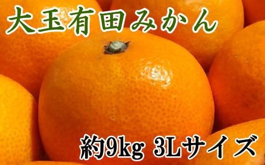 【食べごたえ十分】和歌山有田みかん大玉約9kg(3Lサイズ・秀品)★2025年11月中旬〜2026年1月中旬頃より順次発送(お届け日指定不可)【tec879A】和歌山県すさみ町12000果物・フルーツみかん・