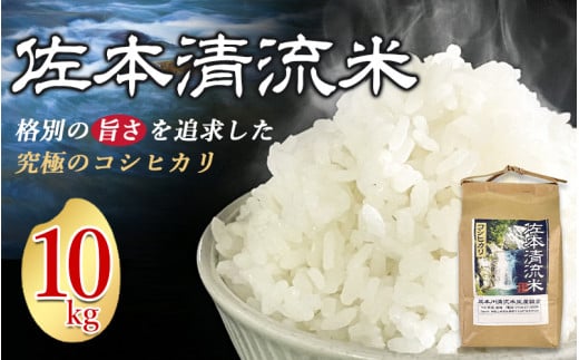 佐本川の清流で育てた 「 佐本清流米(コシヒカリ) 」 10kg / お米 米 コメ こめ 新米 ご飯 白ごはん 白米 コシヒカリ 和歌山県 すさみ町【tko102A】和歌山県すさみ町32000米・パン白米