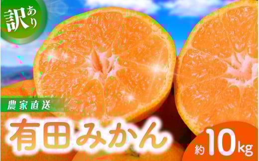 【先行予約】 和歌山県産 有田みかん 約10kg ※2025年11月中旬より順次発送予定【訳あり】ご家庭用 サイズ混合 (お届け日指定不可) 訳ありみかん 温州みかん サイズ混合 有機質肥料100% 柑