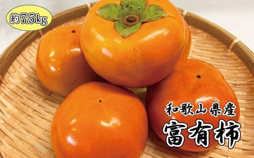 和歌山秋の味覚 富有柿 約7.5kg ※2025年11月上旬頃〜2025年12月上旬頃発送(お届け日指定不可)【uot702A】和歌山県すさみ町25000果物・フルーツその他 果物・フルーツ