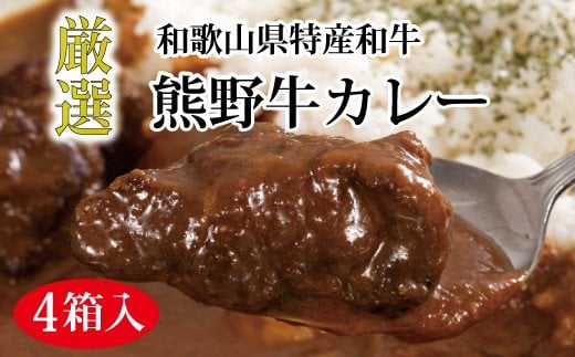 特選黒毛和牛 熊野牛カレー 4箱【mtf102】和歌山県すさみ町13000鍋セット・総菜・加工食品総菜