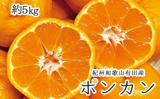 【先行予約】紀州和歌山有田産ポンカン 5kg ※2026年2月上旬頃〜2026年2月下旬頃に順次発送(お届け日指定不可) / みかん 果物 柑橘 フルーツ ミカン 和歌山 有田みかん ぽんかん 【uot722】和