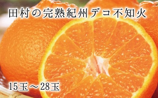 【先行予約】高級ブランド田村の完熟紀州デコ(不知火) ※2026年2月下旬頃〜2026年3月中旬頃に順次発送予定(お届け日指定不可)  / みかん ミカン オレンジ 和歌山 有田みかん 柑橘 フルーツ