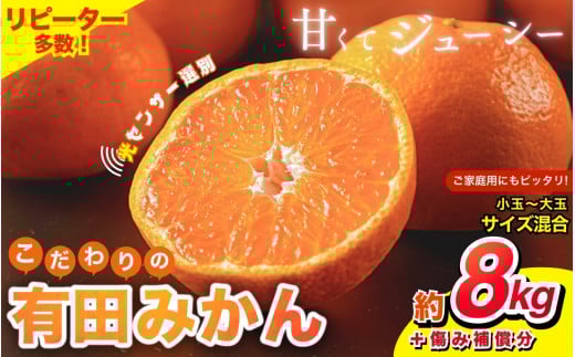 【2025年11月発送予約分】【家庭用】【農家直送】こだわりの有田みかん 約8kg+250g(傷み補償分) 有機質肥料100% サイズ混合 【11月発送】※北海道・沖縄・離島配送不可【nuk100-11B】和歌山県