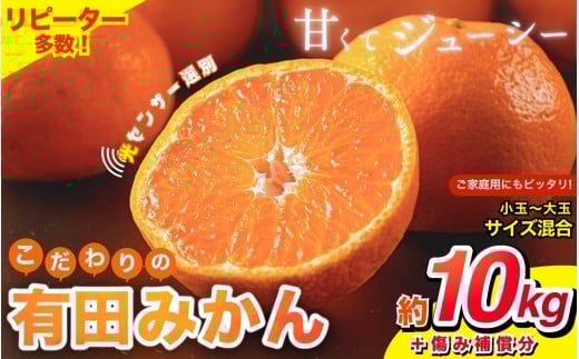 【2025年12月発送予約分】【家庭用】【農家直送】こだわりの有田みかん 約10kg+250g(傷み補償分) 有機質肥料100% サイズ混合 【12月発送】※北海道・沖縄・離島配送不可【nuk101-12B】和歌山県