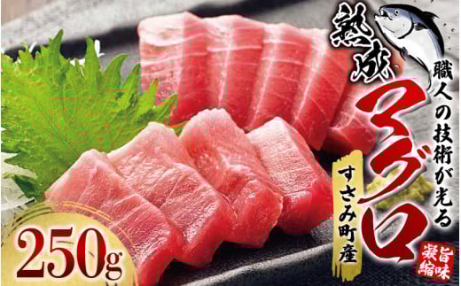 すさみの熟成マグロ 約250g /まぐろ 鮪 刺身 新鮮 鮮度 冷凍 和歌山県 すさみ町【gyg136A】和歌山県すさみ町11000魚介・海産物鮮魚