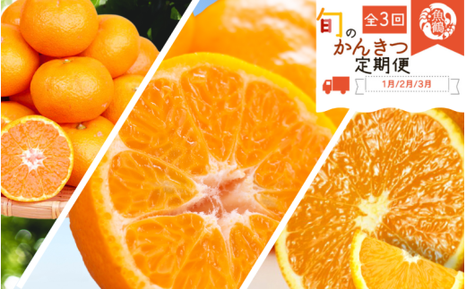 【3か月定期便】人気のみかんを集めた!旬の柑橘定期便 / みかん ミカン 柑橘 オレンジ 果物 くだもの フルーツ フルーツ定期便 和歌山【tkb111】和歌山県すさみ町48000果物・フルーツみかん