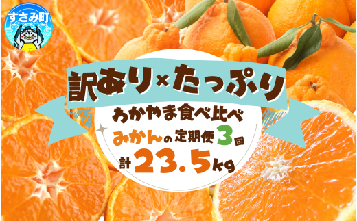 【3か月定期便】たっぷり届く♪訳ありみかんの定期便 / みかん定期便 みかん 果物 フルーツ定期便 フルーツ 柑橘 和歌山 有田ミカン 有田みかん【tkb113】和歌山県すさみ町55000果物・フルー