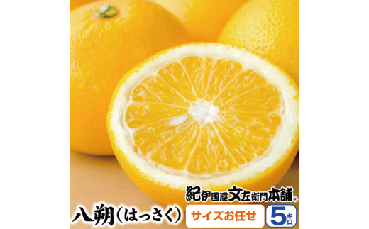 八朔(はっさく)約5kg サイズおまかせ 紀伊国屋文左衛門本舗 ※2026年1月下旬〜2026年4月上旬頃発送予定  紀伊国屋文左衛門本舗 / オレンジ 清美オレンジ 和歌山 柑橘 みかん 果物 フルーツ【su