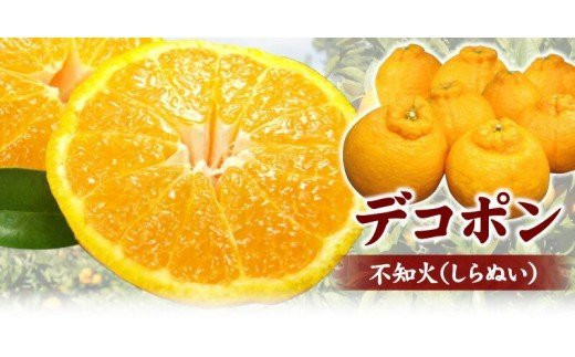デコ不知火(デコポン) 約3kg/サイズおまかせ 紀伊国屋文左衛門本舗 ※2026年2月上旬〜2026年4月上旬頃発送予定 / オレンジ 清美オレンジ 和歌山 柑橘 みかん 果物 フルーツ 【sutb421C】和歌