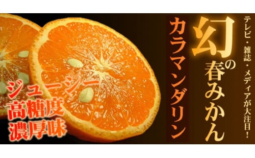 カラマンダリン 約3kg/サイズおまかせ ※2026年4月上旬〜2026年5月上旬頃に順次発送予定(お届け日指定不可) 紀伊国屋文左衛門本舗 / みかん 果物 オレンジ フルーツ 柑橘 和歌山【sutb471B】和