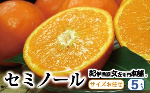 セミノールオレンジ 約5kg/サイズおまかせ ※2026年4月中旬〜2026年5月下旬頃に順次発送予定(お届け日指定不可) 紀伊国屋文左衛門本舗 / みかん 果物 オレンジ フルーツ 柑橘 和歌山【sutb481B