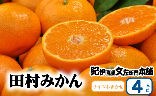 田村みかん 秀品 4kg サイズおまかせ/紀州和歌山有田郡湯浅町田村地区産 ◆2025年11月下旬〜2026年1月中旬頃に発送(お届け日指定不可) 紀伊国屋文左衛門本舗【sutb307B】和歌山県すさみ町19000