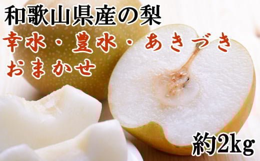 [ʌ] a̎RY̗ 2kg (i킨܂) 2026N8{`2026N9{\ /  iV Ȃ t[c  ʕ ʎ a̎R ʌ \ a̎Rt[c  lC