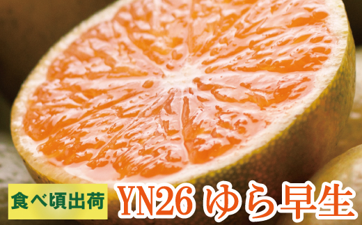 ys\zƒpLc݂ TCY(2S`2L) 7.5kg+250g  10蔭(ɑ)y킯E󂠂zkCEEzs / ݂ ~J ʕ  t[c k a̎R