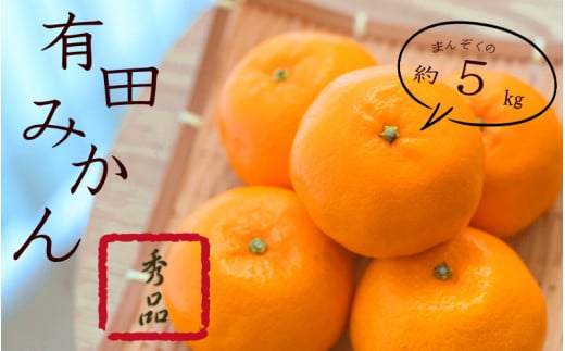 紀州有田みかん 秀品 約5kg サイズおまかせ(L・М・S) ※2025年11月下旬〜2026年1月中旬頃発送予定 / みかん ミカン くだもの 果物 フルーツ 柑橘 和歌山 【sml108A】和歌山県すさみ町16000果物