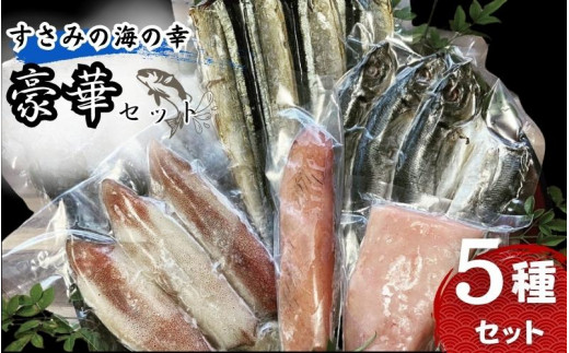 すさみ海の幸豪華セット(熟成ケンケン鰹タタキ×1節、熟成まぐろ×1節 、赤イカ×3〜5匹 、干物×6枚【あじ開き×3 、さんまみりん干し×3 】)/ かつお かつおのたたき カツオ まぐろ 鮪 いか