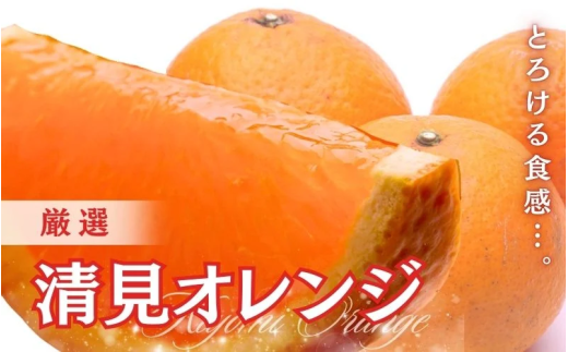 <2月より発送>厳選 清見オレンジ 2.5kg+250g(傷み補償分)【光センサー食頃出荷】【樹上完熟きよみオレンジ・清見タンゴール・清美】/ みかん くだもの 果物 オレンジ 和歌山 フルーツ き