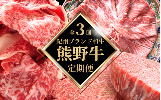 【全3回定期便】高級和牛 熊野牛 A4以上 (霜降りローススライス・霜降り赤身こま切れ・ヒレシャトーブリアンステーキ&霜降りサーロインステーキ) / 国産 肉 牛肉 和牛 黒毛和牛 焼肉 ステ