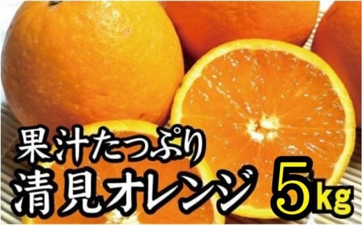 【農家直送】果汁たっぷり!清見オレンジ 約5kg  有機質肥料100%  サイズ混合 ※2026年3月上旬から3月下旬より順次発送予定(お届け日指定不可)【nuk112B】和歌山県すさみ町15000果物・フル