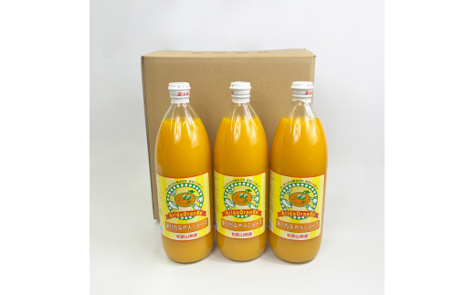 【和歌山県有田産】100%温州みかんジュース (970ml×12本セット)/ジュース みかん  【tss006A】和歌山県すさみ町36000お茶・飲料果汁・野菜飲料