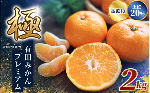 _ZT[Iʁ^ Lc݂v~A 2kgyI肷̏20͂z2S`LTCY L@엿100% 2025N11{`2026N1{ɏ\ kCEEւ
