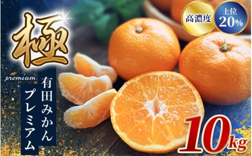 _ZT[Iʁ^ Lc݂v~A 10kgyI肷̏20͂z2S`LTCY L@엿100% 2025N11{`2026N1{ɏ\ kCEEւ