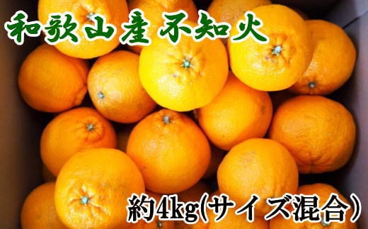 【先行予約】和歌山県産不知火約4kg(サイズ混合) ※2026年2月下旬〜2026年4月中旬頃発送予定(お届け日指定不可)/ 果物 フルーツ 柑橘 有田みかん 有田 オレンジ 和歌山 みかん デコポン