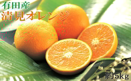 【先行予約】【濃厚】有田産清見オレンジ約5kg(サイズおまかせ 青秀以上) ※2026年2月中旬〜2026年3月中旬頃発送予定(お届け日指定不可) / オレンジ 清見オレンジ 柑橘 オレンジ みかん