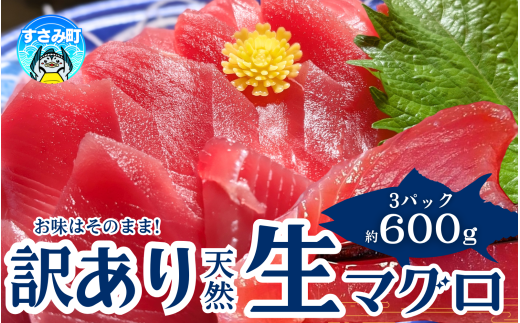 【訳あり】和歌山県すさみ産 天然生マグロ 冷凍 生 計600g(約200g×3パック) まぐろ マグロ 鮪 赤身 海鮮丼 鮪 寿司 海鮮  小分け 刺身 和歌山 すさみ町 キハダマグロ メバチマグロ 大容量