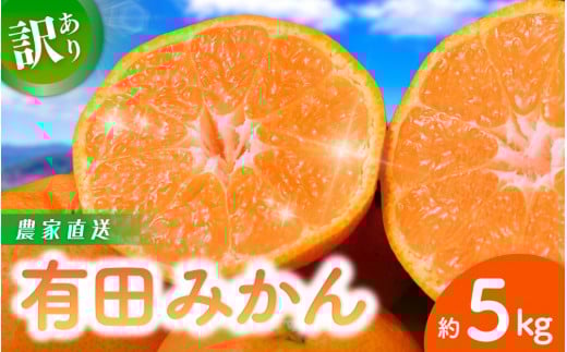 【訳あり】農家直送  有田みかん 約5kg ご家庭用 サイズ混合 (お届け日指定不可)※2025年11月中旬より順次発送予定 ※北海道・沖縄・離島への配送不可 訳ありみかん 温州みかん サイズ