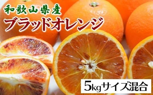 先行予約 【希少・高級柑橘】国産濃厚ブラッドオレンジ「タロッコ種」約5kg ※2026年4月上旬〜2026年4月下旬頃順次発送 / オレンジ 和歌山 果物 くだもの フルーツ 柑橘 オレンジ タロッコオ