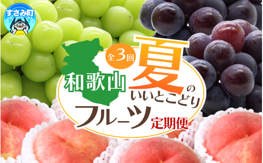 【3か月定期便】夏のいいとこどりフルーツ定期便♪桃・ピオーネ・シャインマスカット【tkb360】和歌山県すさみ町55000果物・フルーツもも・すもも