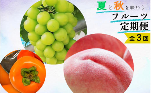 【全3回】夏と秋を味わうフルーツ定期便 (桃・マスカット・柿)【tkb370】和歌山県すさみ町51000果物・フルーツもも・すもも