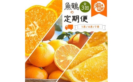 【全3回】紀州和歌山産旬の柑橘定期便 (みかん・なつみ・バレンシア) / 定期便 果物 くだもの オレンジ みかん バレンシアオレンジ なつみ ミカン【tkb378】和歌山県すさみ町34000果物・フル