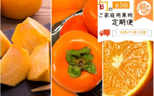 【全3回】紀州和歌山産旬のご家庭用果物定期便 (ひらたねなし柿・富有柿・みかん) / フルーツ くだもの 果物 定期便 3回定期便 和歌山 柿 カキ みかん 柑橘 ミカン 有田みかん【tkb379】和歌