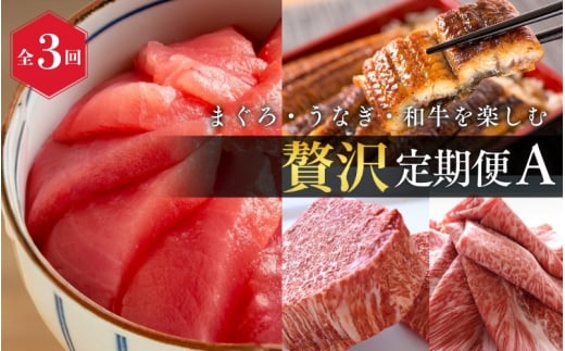 【全3回】まぐろ・うなぎ・和牛を楽しむ贅沢定期便A / 鮪 マグロ 刺身 鰻 ウナギ 蒲焼 熊野牛 肉 牛肉 和牛 黒毛和牛 ヒレ ロース シャトーブリアン ステーキ スライス【tkb386】和歌山県すさ