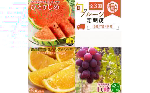 【全3回】紀州和歌山産旬のフルーツセット(スイカ・バレンシア・巨峰) / 果物定期便 フルーツ定期便 バレンシア オレンジ 柑橘 くだもの 果物 すいか スイカ シぶどう 巨峰 【tkb396】和歌山