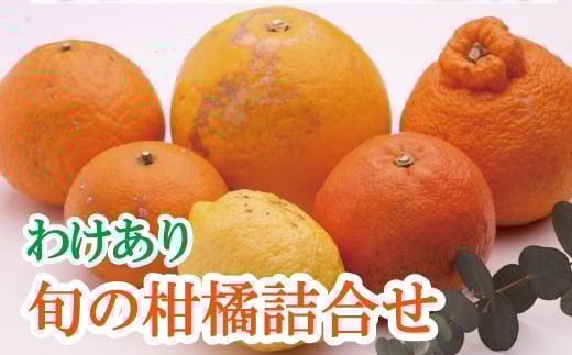 <1月より発送>家庭用 柑橘詰合せ 1kg+250g(傷み補償分)【訳あり・わけあり】【有田の春みかん詰め合わせ・フルーツ詰め合せ・オレンジつめあわせ】【光センサー選別】/ みかん 果物 フ