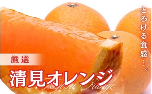 <2月より発送>厳選 清見オレンジ 5kg+250g(傷み補償分)【光センサー食頃出荷】【樹上完熟きよみオレンジ・清見タンゴール・清美】/ 和歌山 おすすめ 果物 くだもの 柑橘 みかん オレン