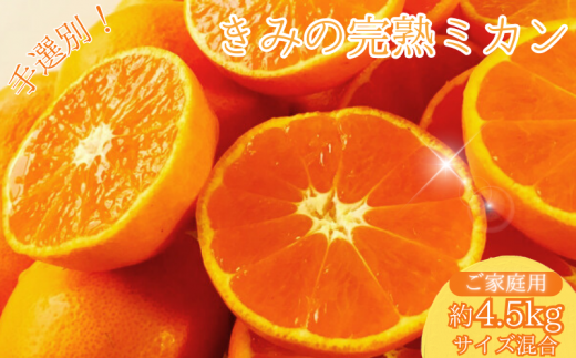 あま〜い! カツオの有機肥料が味の決め手! 「きみの完熟ミカン」 約4.5kg (40~60個程度) サイズ混合 2S~M ご家庭用(秀優混合)/みかん ミカン 柑橘 和歌山県 有機 手選別 【kmf001】和歌山県すさ