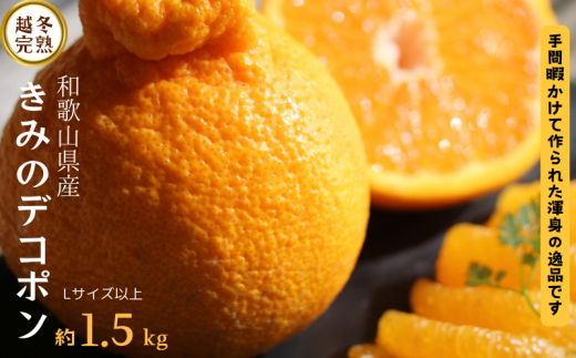 甘みと旨味がぎゅっと詰まった逸品!越冬完熟「きみのデコ」(デコポンと同品種) 約1.5kg サイズ混合 L以上 ご家庭用(秀優混合)/デコポン 不知火 柑橘  和歌山県 越冬 有機 【kmf012】和歌山県