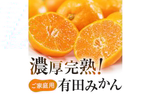 有田育ちのご家庭用完熟 有田みかん 5kg+200g(傷み補償分)【11月発送】 / みかん 果物 フルーツ 柑橘 果実 和歌山 有田みかん 有田 くだもの オレンジ【ard186D-11】和歌山県すさみ町10000果物・
